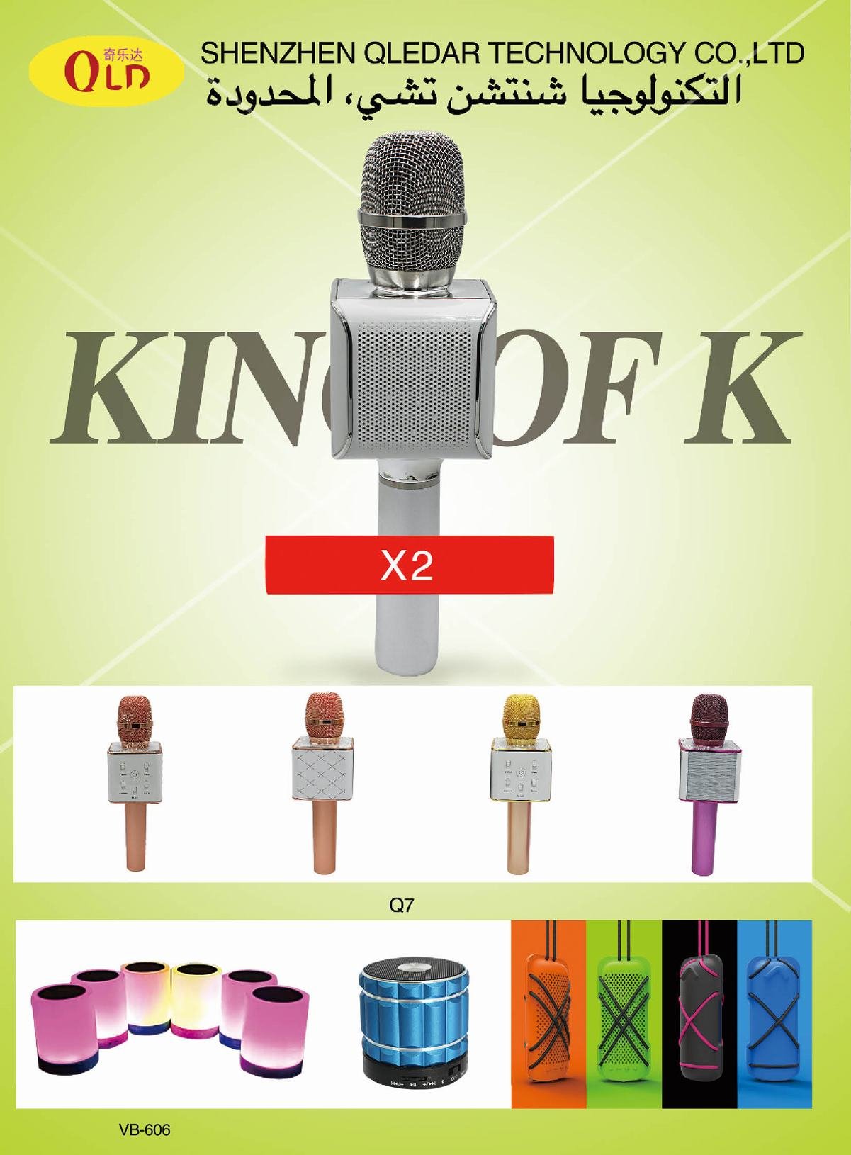 Microphone and mobile DVD